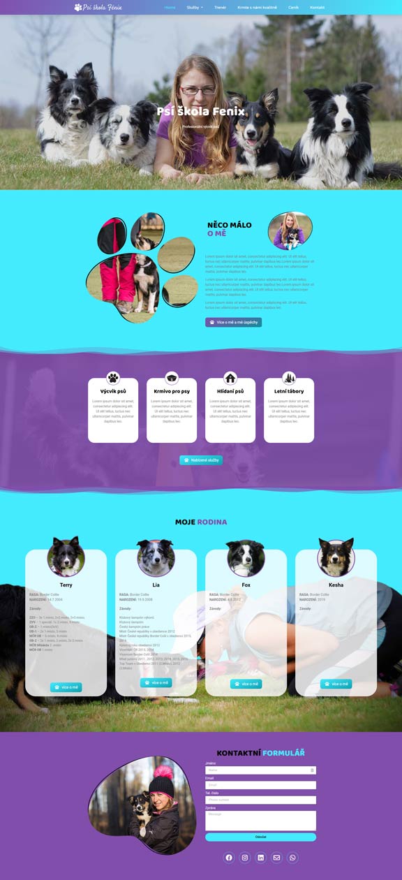 Web prezentace - tvorba webových stránek, online marketing, ppc reklama, konzultace, školení - onmade. Cz